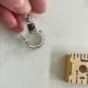 Silver and Brown Hoop Earrings